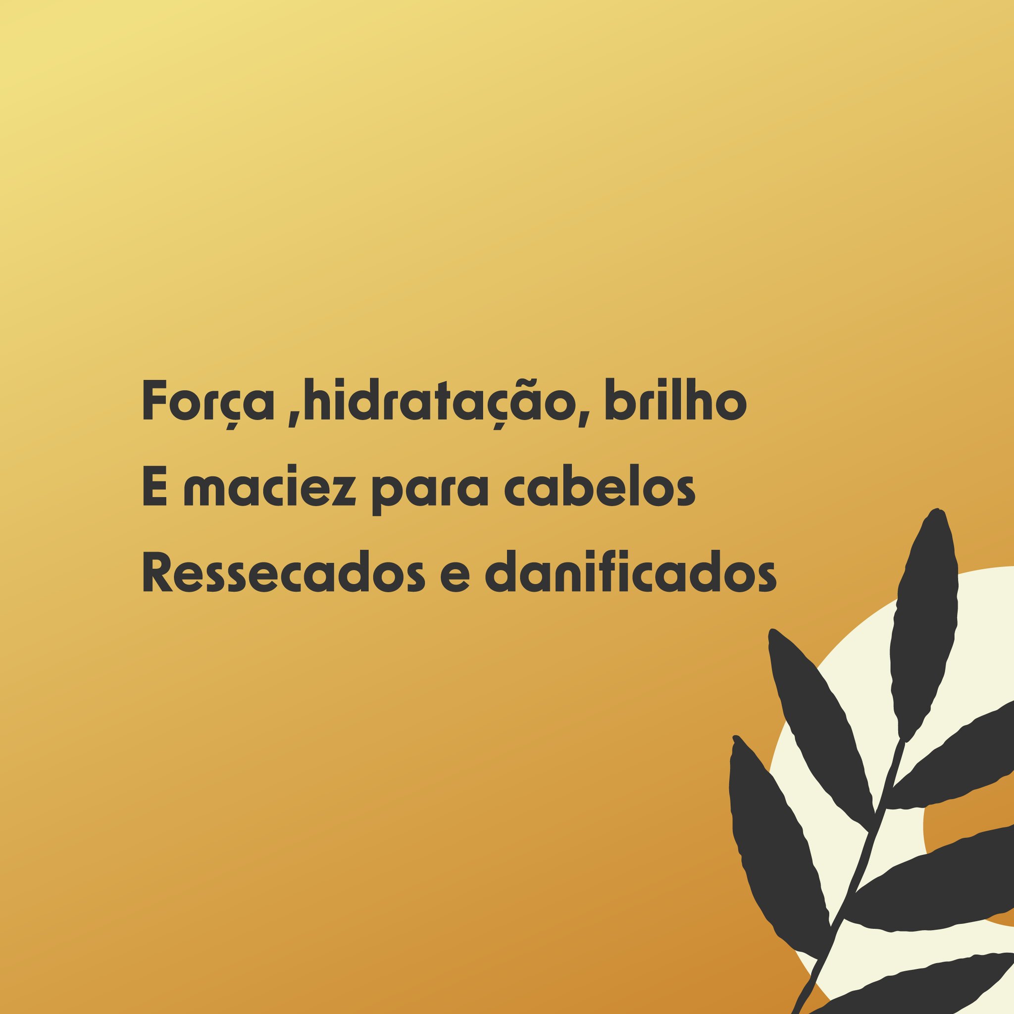 Campanha 06 02
