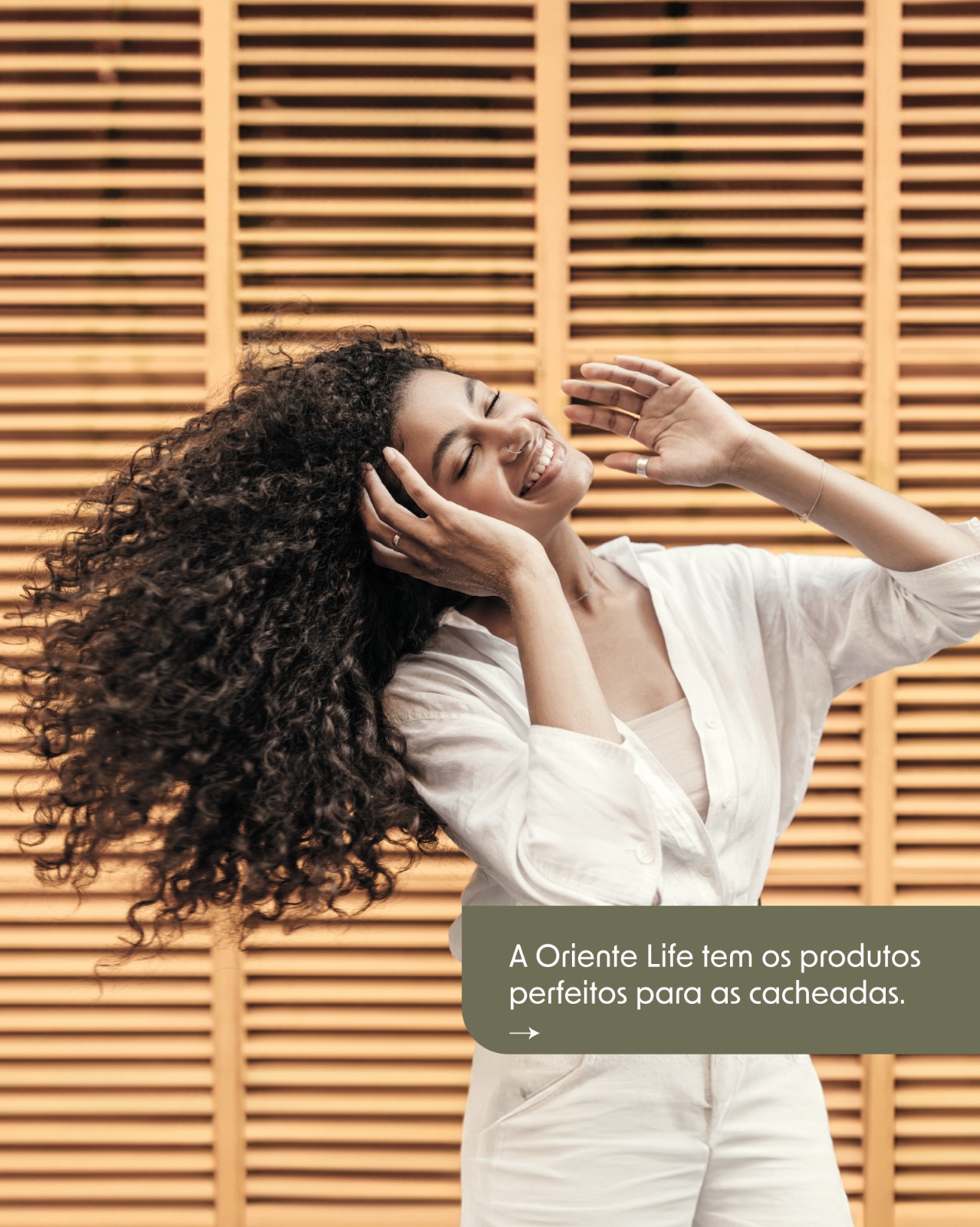 Campanha 13-03