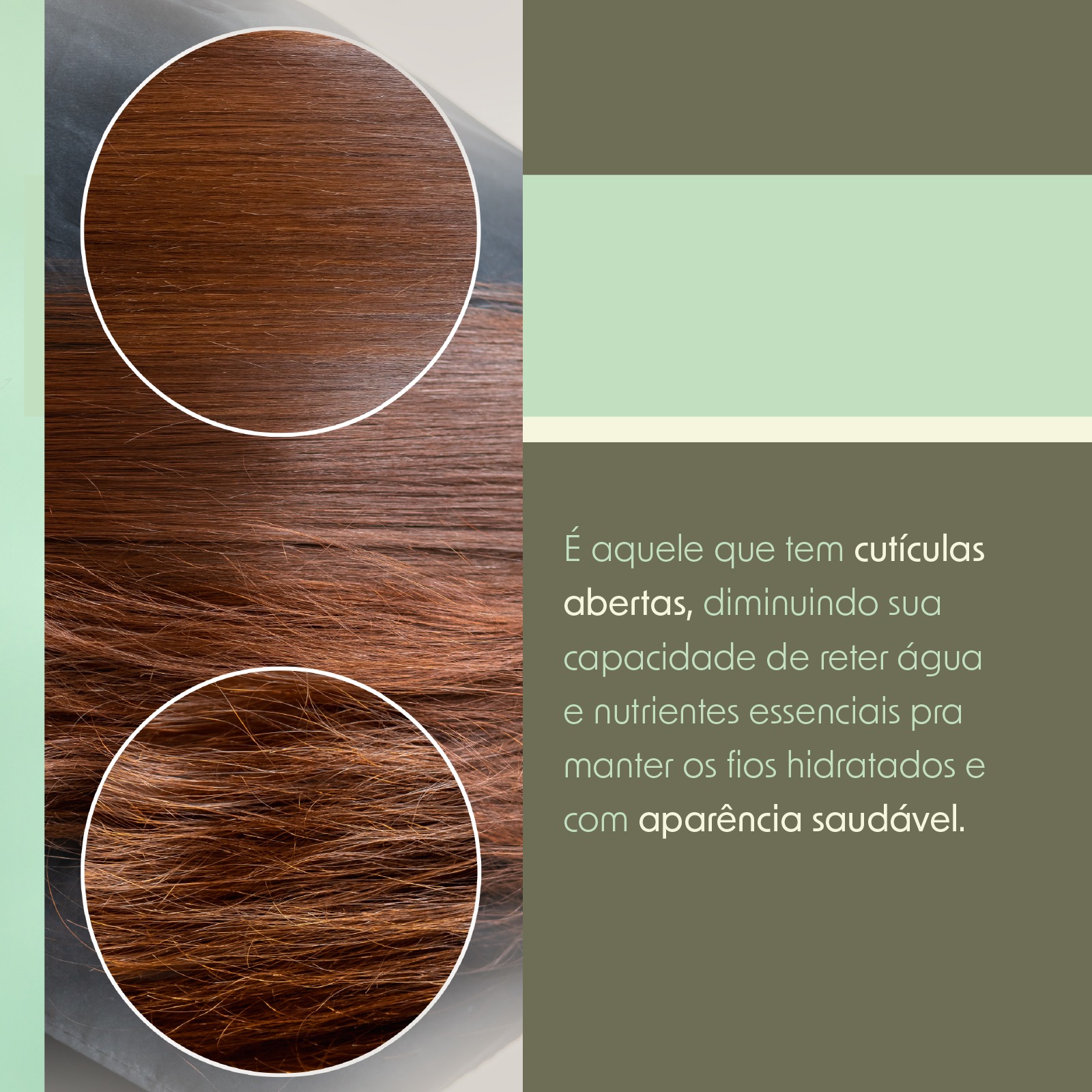 Campanha 15-01