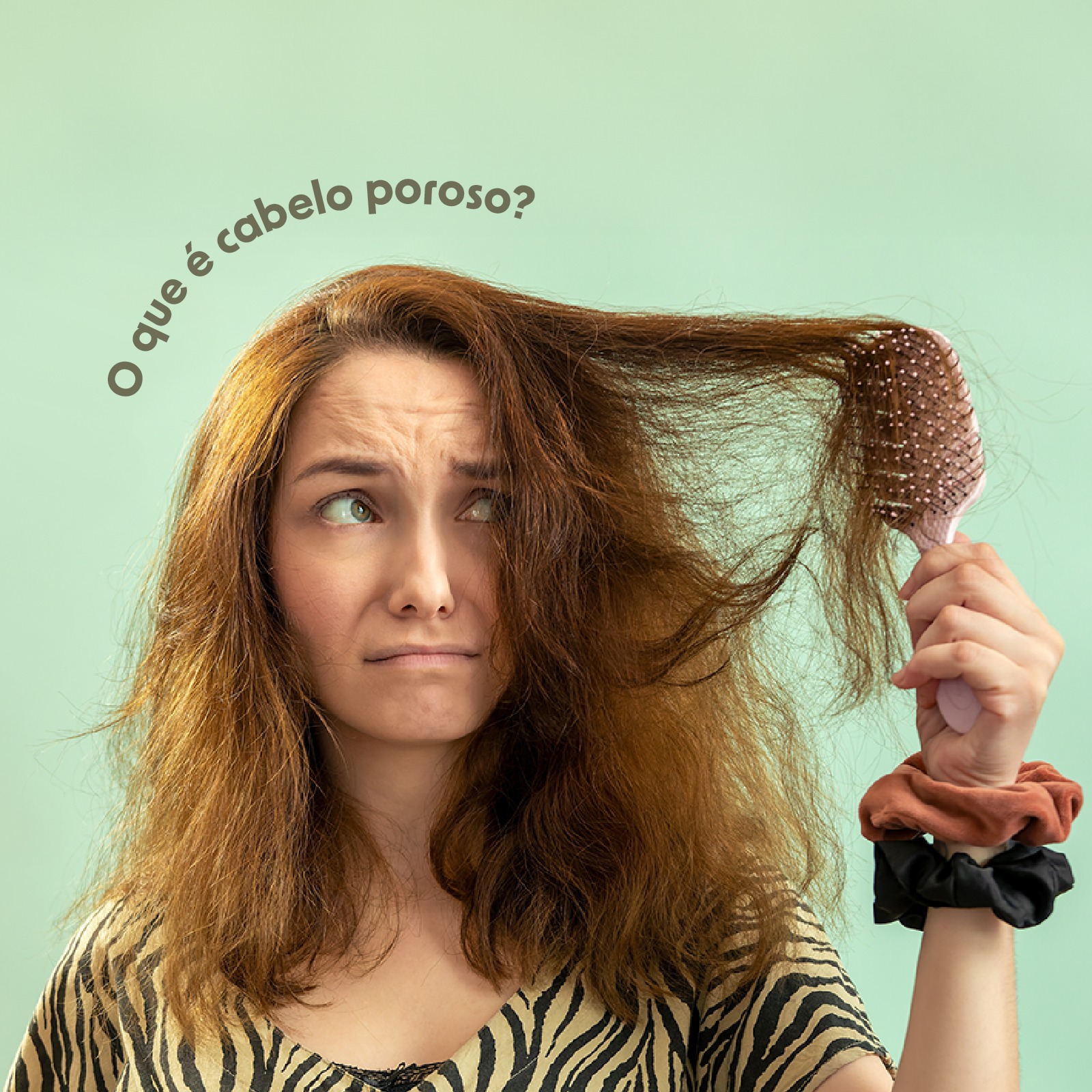 Campanha 15