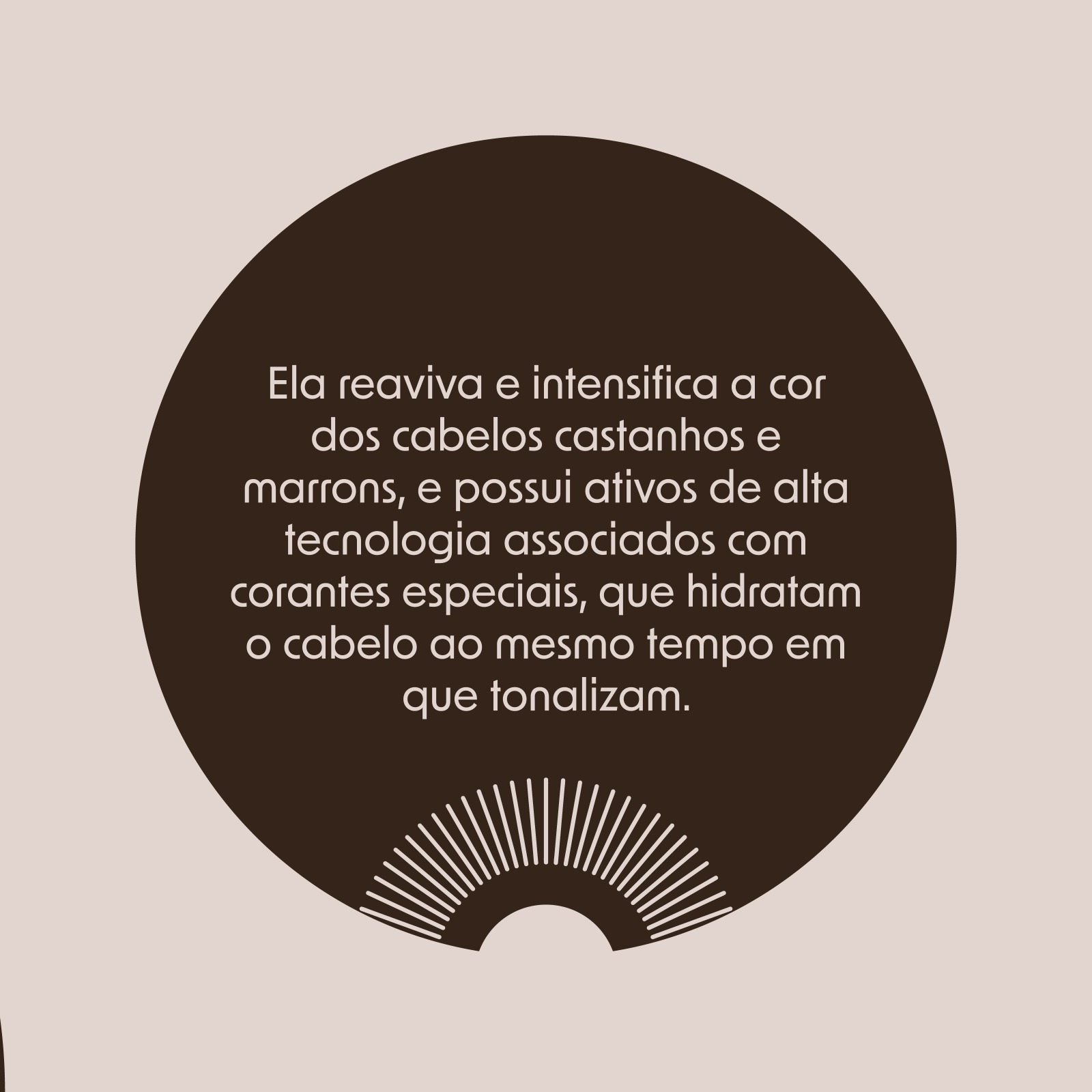 brow05